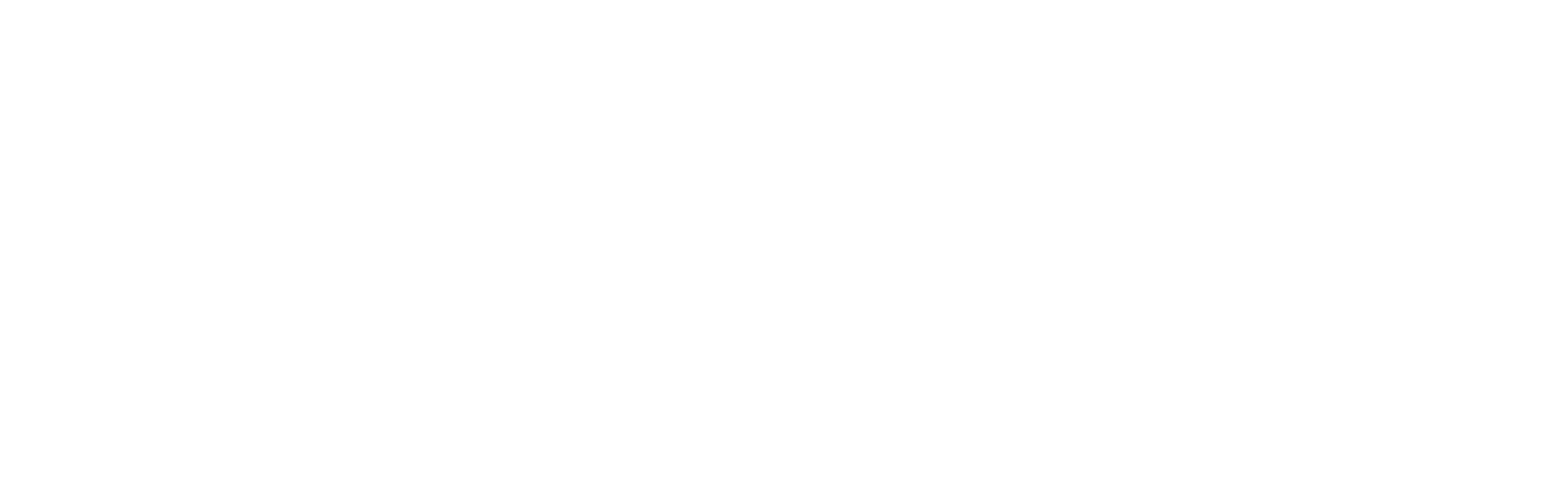 Logo hepster weiß